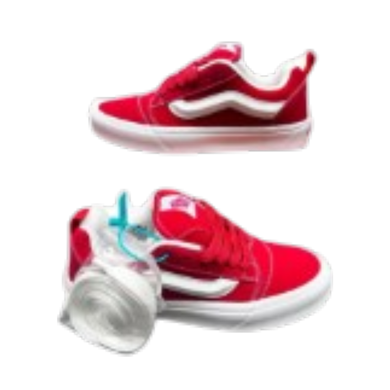 Vans Skate Shoes