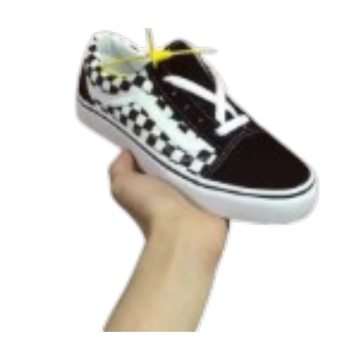 Vans Skate Shoes